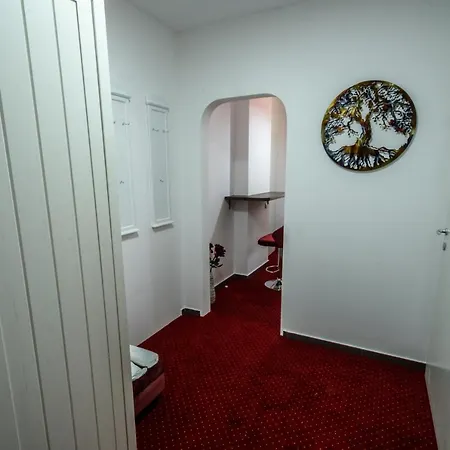 Ultracentral Luxury Apartment Cluj-Napoca